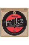 D´Addario J45 1ª