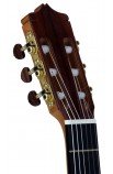Eduardo Durán - Professional Classical Guitar