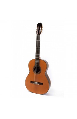 Guitarra Clásica Tapa Maciza Raimundo 129