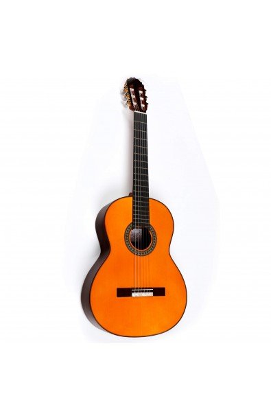 Amalio Burguet 2F Negra