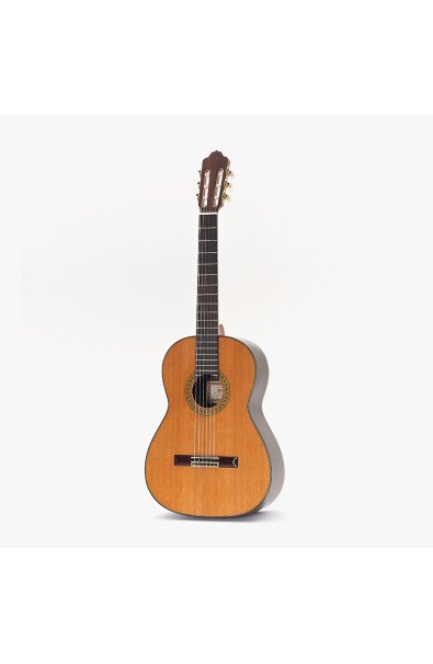 Flamenco Guitar Study 1 All Solid Esteve 6F