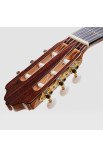 Esteve 3F Flamenca