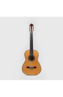 Flamenco Guitar Study 1 All Solid Esteve 8F