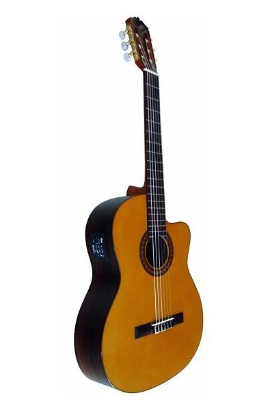 José Gómez - C320.204EQ Guitarra Clásica Palosanto Amplificada