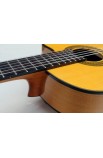 José Gómez - C320.580EQ Guitarra Flamenca Amplificada