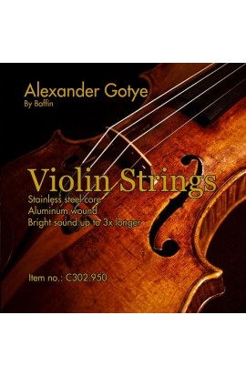 Cuerdas Violín Alexander Gotye